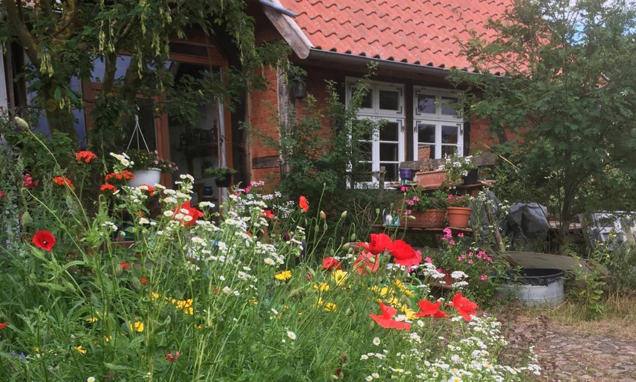 Ferienhof Rauchhaus Karft Екстериор снимка